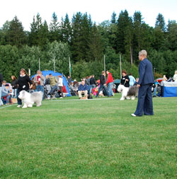 tispekl
